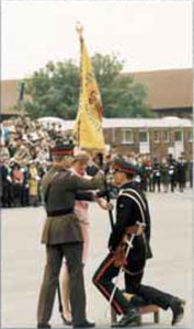 Presentation of Colours 