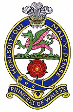 princess of wales's royal regiment badge