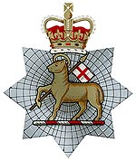 the queen's royal surrey regiment