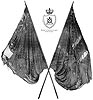 Colours presented to The Newington Surrey Riffles,