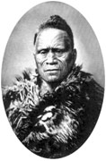 Maori Chieftain