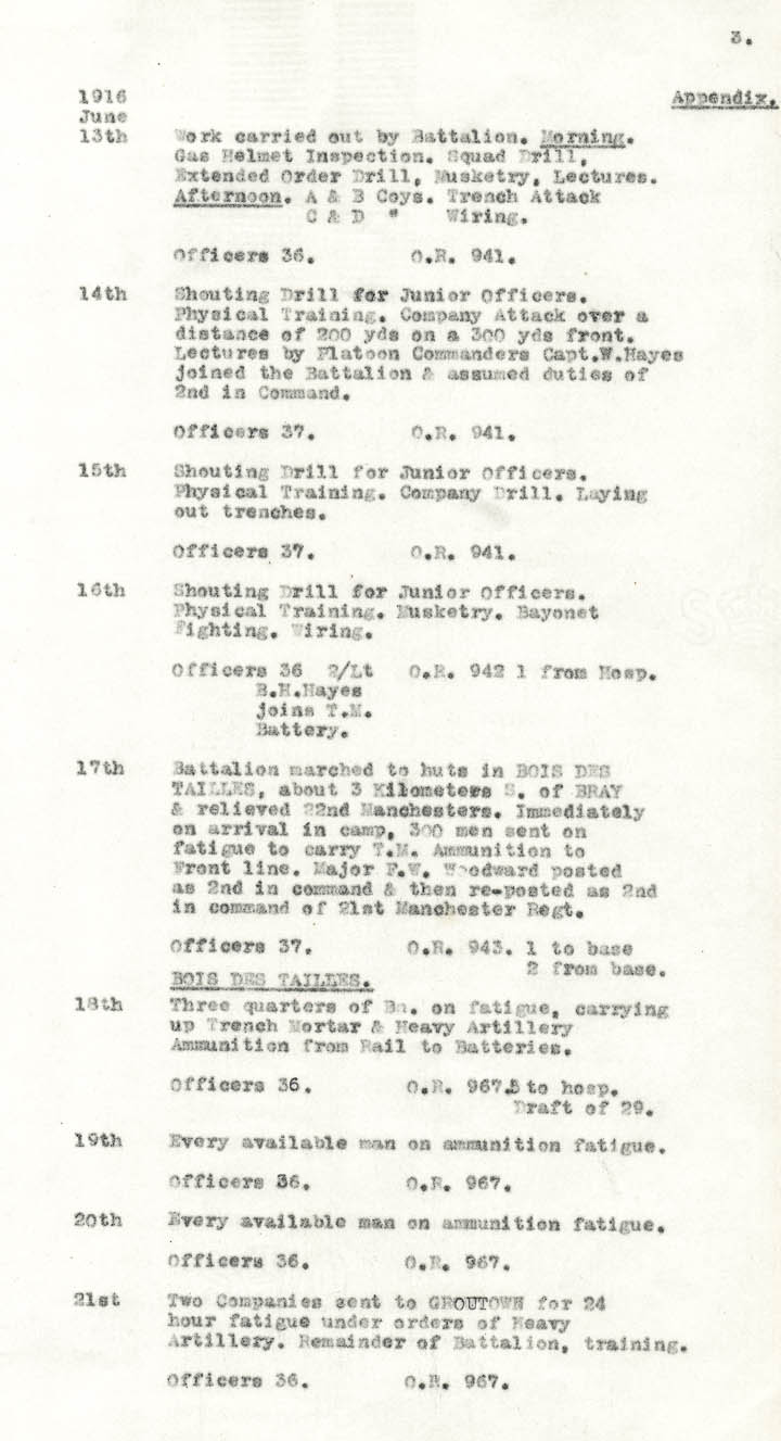 Diary Page